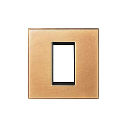 Natural Brass 1 x25mm EM Euro Module Wall Plate with Black Insert  - The Palaces Collection