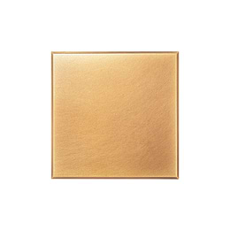 Natural Brass Single Blank Plate  - The Palaces Collection
